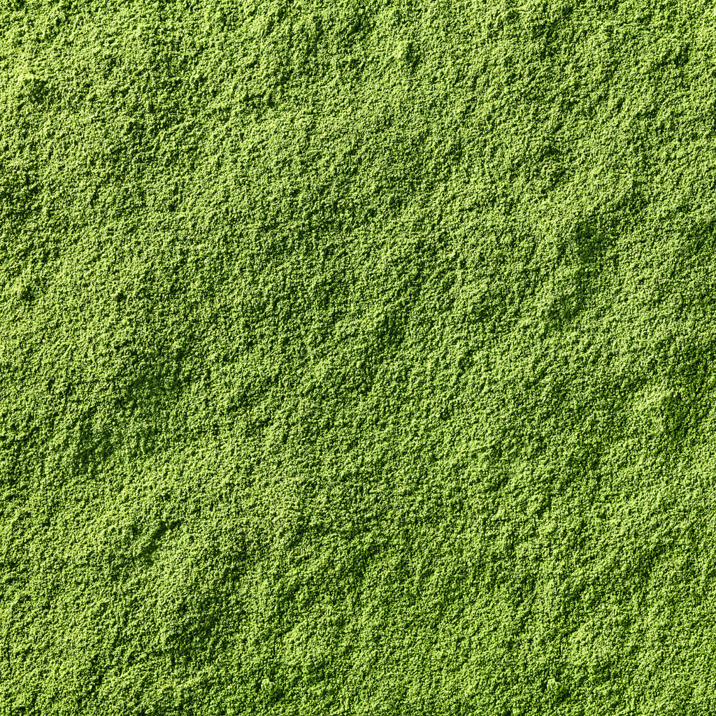 Hana Matcha 30g Tin - Japanese Ceremonial Grade Matcha from Gifu, Japan