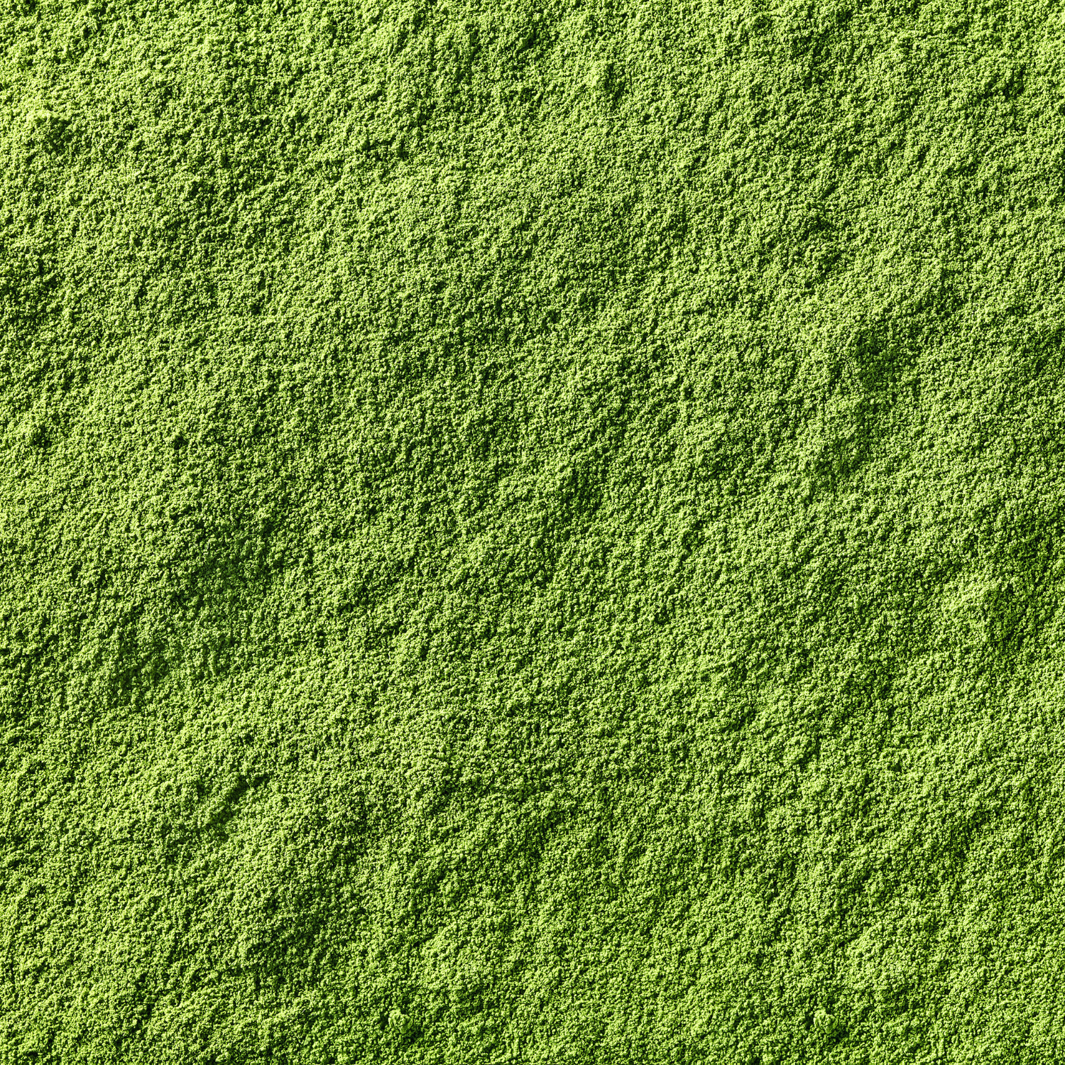 Hana Matcha 30g Tin - Japanese Ceremonial Grade Matcha from Gifu, Japan