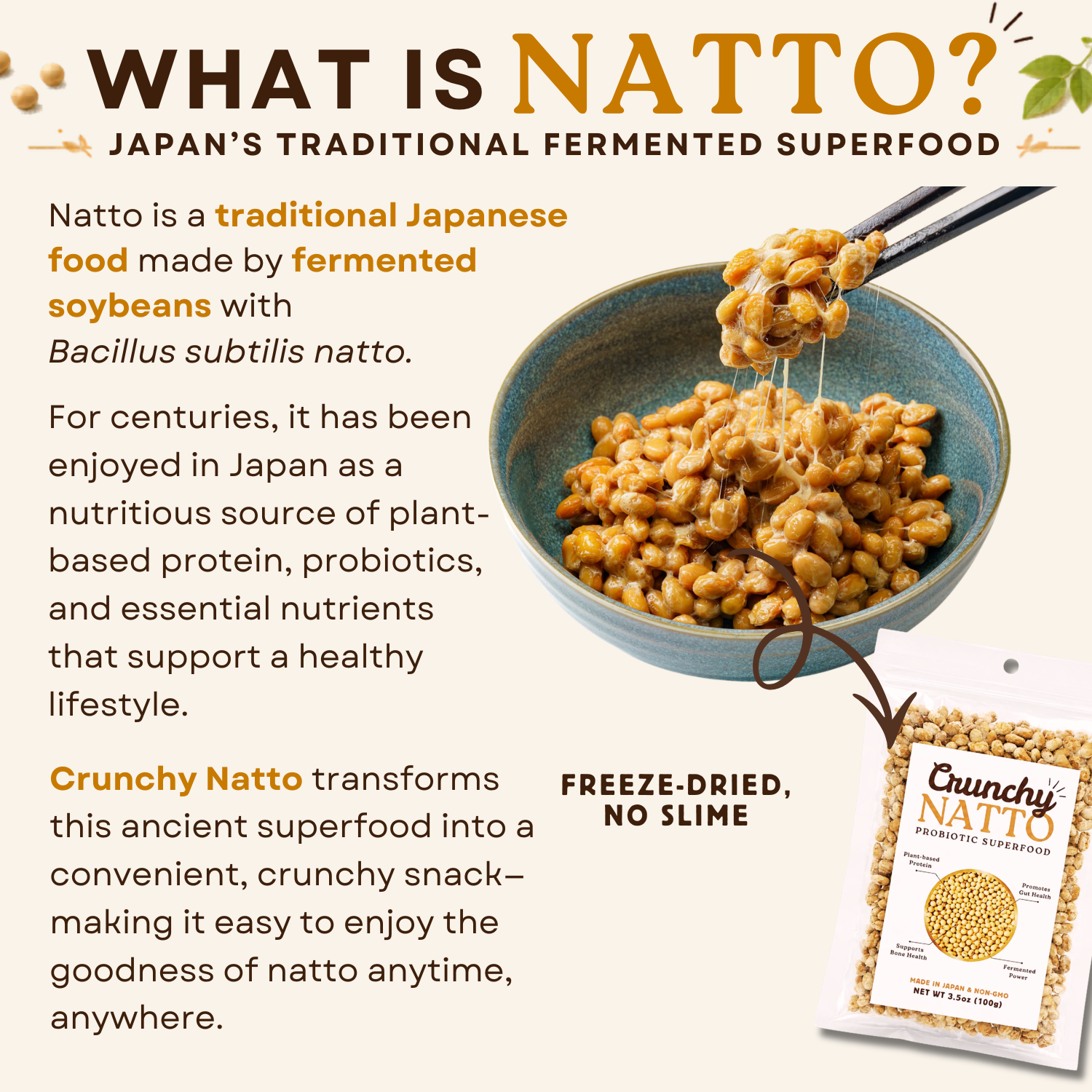 Crunchy Natto Freeze-Dried Fermented Soybeans, High Protein Japanese Snack, 100g (3.5oz)